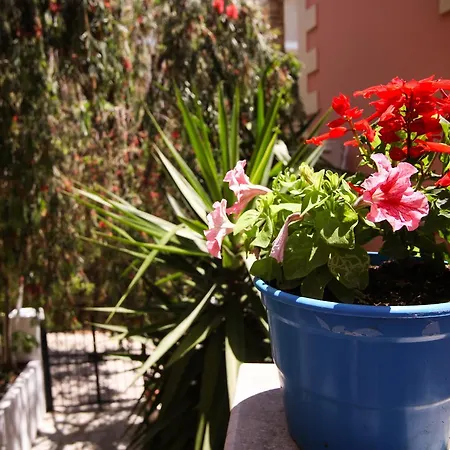 Apartament Mary Agios Gordios (Corfu)